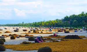 Tam Hải - Điểm sáng giữa trùng khơi