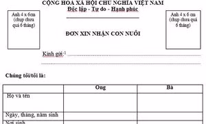 Ban hành Nghị định 24 có quy định mới về rà soát, tìm người nhận trẻ em làm con nuôi