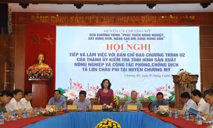 Chương Mỹ hướng tới xây dựng nông thôn mới kiểu mẫu