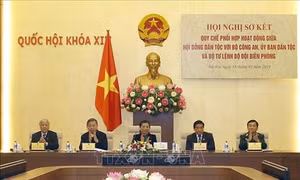 Hội đồng Dân tộc đẩy mạnh phối hợp, thực hiện tốt công tác dân tộc