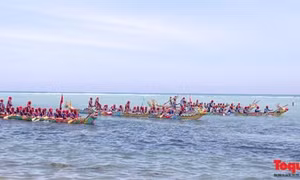 Tuần lễ văn hóa, du lịch Lý Sơn lần thứ II: Đua thuyền tứ linh
