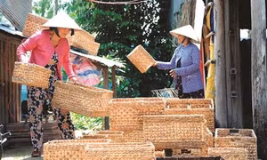Cần Thơ đào tạo nghề cho lao động nông thôn