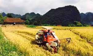 Phát huy vai trò mặt trận trong xây dựng Nông thôn mới, đô thị văn minh