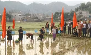 Lễ hội Lồng Tồng – Nét đẹp văn hóa của người dân vùng cao Hà Giang