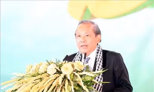 Khai mạc Lễ hội dừa Bến Tre với chủ đề "Cây dừa trên đường hội nhập và phát triển bền vững"