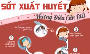 Bình Thuận: Bệnh sốt xuất huyết gia tăng, diễn biến phức tạp