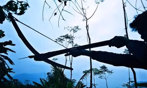 Tục lệ cho thú rừng ăn Tết