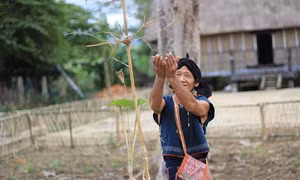 Lễ cúng đầu năm của người Bahnar