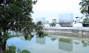 Hiệu quả từ một mô hình chăn nuôi khép kín