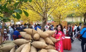 Lần đầu tiên tổ chức Tet Festival 2020 tại Thành phố Hồ Chí Minh