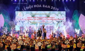 Khai mạc Lễ hội Hoa ban lần thứ VI năm 2019