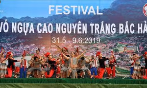 Khai mạc Festival Vó ngựa cao nguyên trắng Bắc Hà năm 2019 