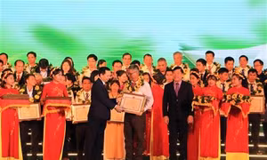 Khai mạc Festival Lúa gạo Việt Nam lần IV