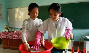 Biến bã mía thành những vật dụng hữu ích, an toàn với sức khỏe