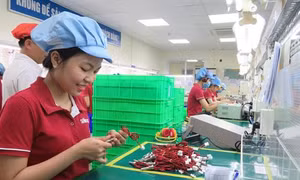 Long An: Tôn vinh doanh nghiệp tiêu biểu và nhà đầu tư hạ tầng