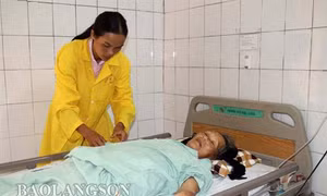 Lạng Sơn: Báo động tai nạn lao động khi thu hoạch hoa hồi