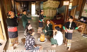 Quế Phong 50 năm thực hiện Di chúc Bác Hồ