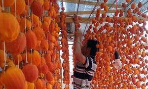 Lâm Đồng tập trung nguồn lực phát triển vùng đồng bào dân tộc thiểu số