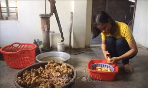 Chị Mai Thị Tuyết Sương khôi phục và phát triển nghề làm bánh nổ truyền thống