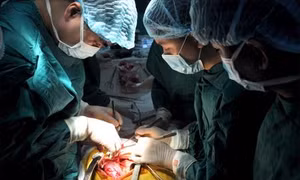 Nghệ An nâng cao chất lượng mạng lưới y tế cấp xã