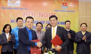 Lào Cai triển khai thu thập dữ liệu bản đồ số