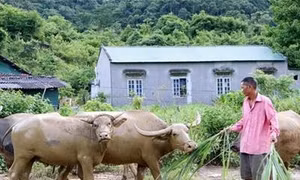 Cần có chính sách đặc thù hỗ trợ đồng bào dân tộc Mảng ở Lai Châu