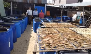 Trăm năm “hồn” mắm Nam Trung Bộ