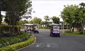Giải pháp nâng cao chất lượng và thu hút nguồn nhân lực du lịch