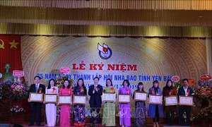 Xây dựng tổ chức Hội Nhà báo tỉnh Yên Bái vững mạnh