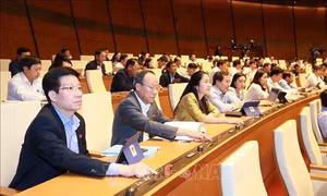 Kỳ họp thứ 8, Quốc hội khóa XIV: Thông qua hai Nghị quyết