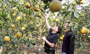 Xây dựng nông thôn mới ở huyện Hiệp Hòa-Bắc Giang: Phát huy vai trò “chủ thể” của người dân