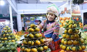 Hà Giang phát triển các sản phẩm chủ lực gắn với thế mạnh địa phương