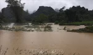 Cao Bằng: Mưa lớn gây ngập hơn 900 ngôi nhà, 1.000 ha lúa và hoa màu
