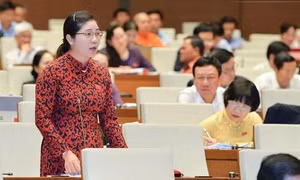 Điều động, phê chuẩn nhân sự Hội đồng Dân tộc và Ủy ban Tư pháp của Quốc hội