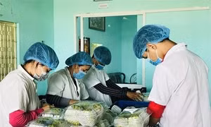 Mãng cầu Bà Đen