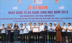 Đầm Vân Long là khu Ramsar thứ 9 của Việt Nam