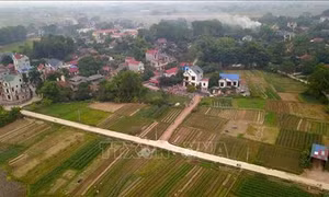 Huyện Lạng Giang đạt chuẩn nông thôn mới