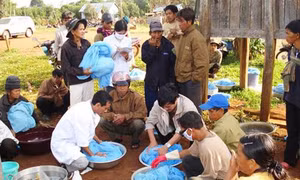 Đắk Nông tập trung phòng, chống bệnh sốt xuất huyết Dengue
