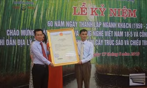 Công bố văn bằng bảo hộ chỉ dẫn địa lý cây trúc sào và chiếu trúc sào Cao Bằng