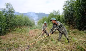 Bộ đội Đắk Nông trồng rừng phủ xanh đất trống đồi trọc
