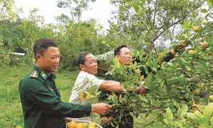 Quảng Nam xây dựng vững chắc thế trận biên phòng toàn dân