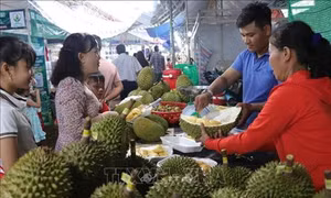 Bến Tre khai mạc Lễ hội Cây-Trái ngon, an toàn lần thứ 18