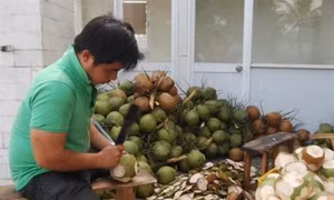 Trà Vinh hỗ trợ phát triển các sản phẩm từ trái dừa 