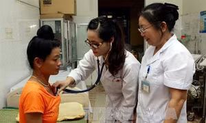 Xây dựng Đề án “Chiến lược quốc gia về thu hút, trọng dụng nhân tài”