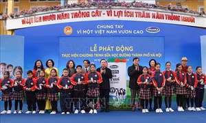 Chương trình Sữa học đường: Góp phần nâng cao tầm vóc trẻ mẫu giáo và tiểu học