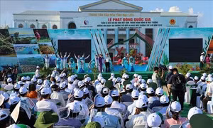 Việt Nam chung tay cùng cộng đồng quốc tế bảo vệ môi trường, giữ gìn màu xanh của biển
