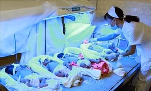 Chênh lệch mức sinh: Khẩn trương hoàn chỉnh Đề án điều chỉnh mức sinh giữa các vùng