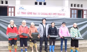 Hỗ trợ vật tư chống rét cho gia súc tại vùng cao Lộc Bình