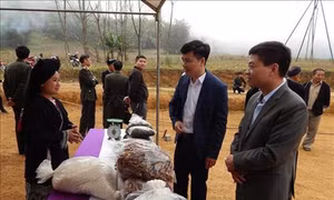 Lễ hội mừng Xuân của đồng bào dân tộc Dao khu vực Hòa Bình, Sơn La, Phú Thọ