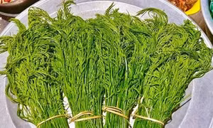 Đặc sản rau hôi vùng cao